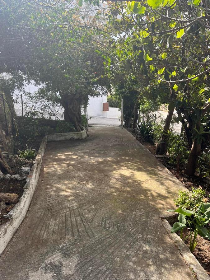 Aegean Summer House Poros Town Bagian luar foto